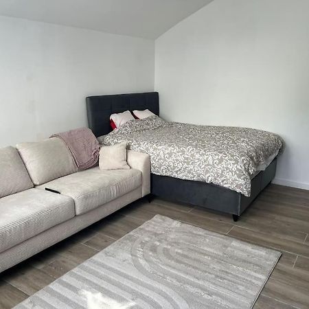 Maisonnette Avec Terrasse Avec Spa Privatif Lutterbach エクステリア 写真