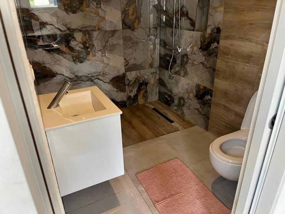 Maisonnette Avec Terrasse Avec Spa Privatif Lutterbach エクステリア 写真